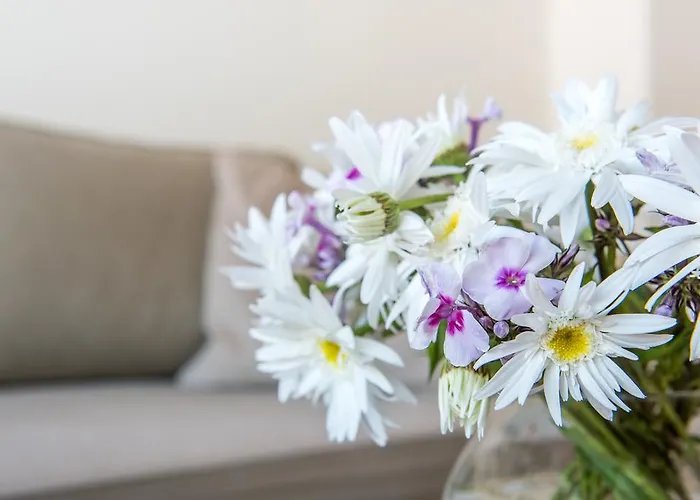 Hotel Am Goethehaus Výmar